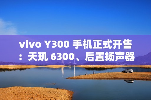 vivo Y300 手机正式开售：天玑 6300、后置扬声器设计，1399 元起