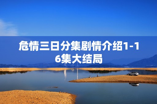 危情三日分集剧情介绍1-16集大结局