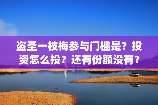盗圣一枝梅参与门槛是？投资怎么投？还有份额没有？(盗圣一枝梅什么时候上映)