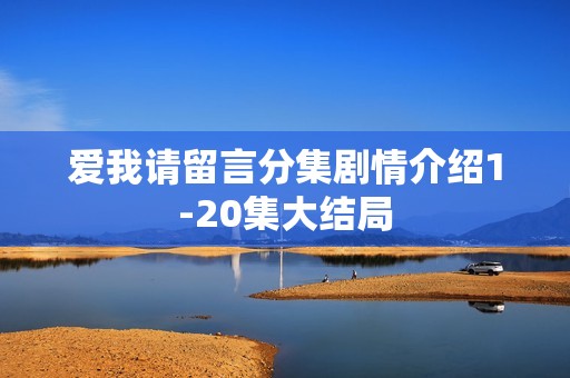 爱我请留言分集剧情介绍1-20集大结局