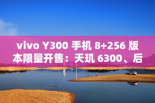 vivo Y300 手机 8+256 版本限量开售：天玑 6300、后置扬声器设计，首发 1499 元