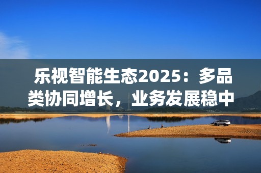  乐视智能生态2025：多品类协同增长，业务发展稳中增效(乐视生态官网)