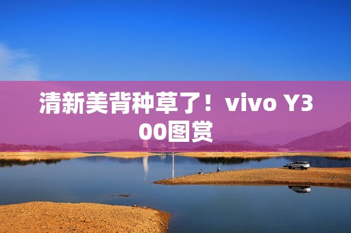 清新美背种草了！vivo Y300图赏