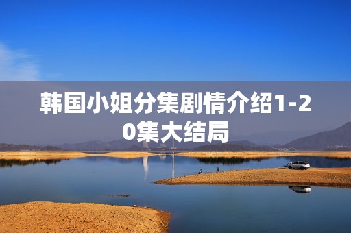 韩国小姐分集剧情介绍1-20集大结局