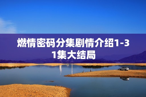 燃情密码分集剧情介绍1-31集大结局