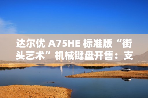 达尔优 A75HE 标准版“街头艺术”机械键盘开售：支持 8000Hz 轮询率，首发 649 元