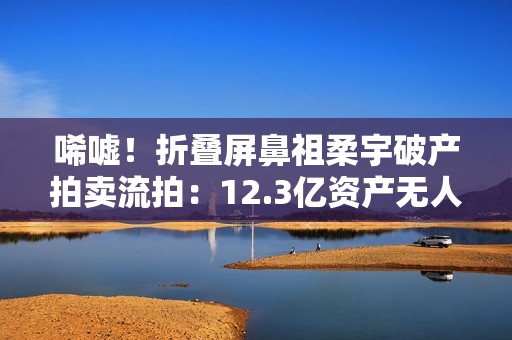 唏嘘！折叠屏鼻祖柔宇破产拍卖流拍：12.3亿资产无人问津