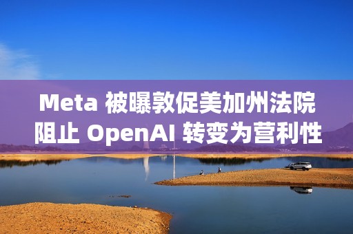 Meta 被曝敦促美加州法院阻止 OpenAI 转变为营利性企业，力挺马斯克