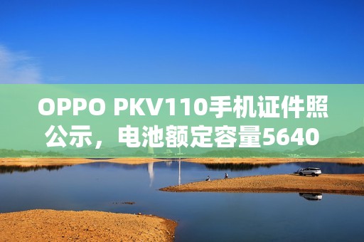 OPPO PKV110手机证件照公示，电池额定容量5640mAh