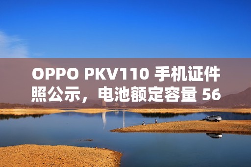 OPPO PKV110 手机证件照公示，电池额定容量 5640mAh