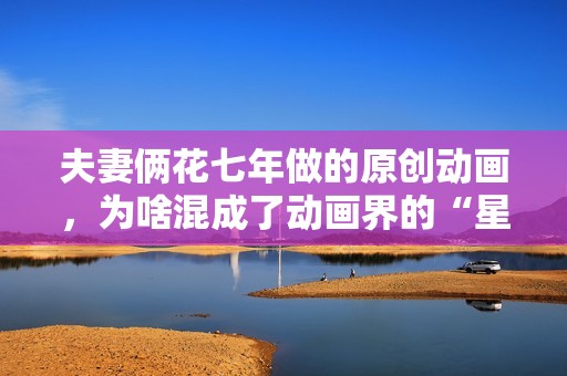 夫妻俩花七年做的原创动画，为啥混成了动画界的“星鸣特攻”？