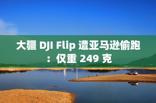 大疆 DJI Flip 遭亚马逊偷跑：仅重 249 克