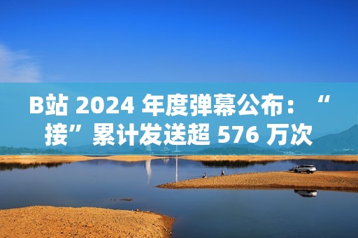 B站 2024 年度弹幕公布：“接”累计发送超 576 万次
