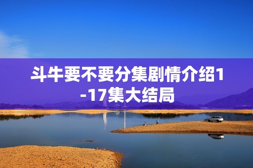 斗牛要不要分集剧情介绍1-17集大结局
