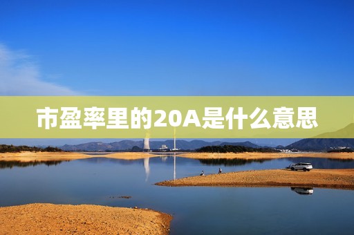 市盈率里的20A是什么意思