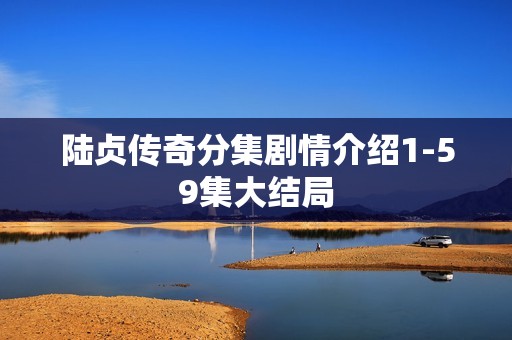 陆贞传奇分集剧情介绍1-59集大结局