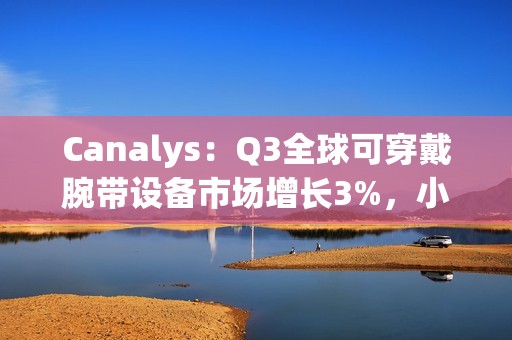 Canalys：Q3全球可穿戴腕带设备市场增长3%，小米和苹果并列第一