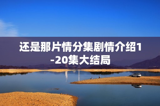 还是那片情分集剧情介绍1-20集大结局