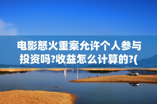 电影怒火重案允许个人参与投资吗?收益怎么计算的?(《怒火 重案》)