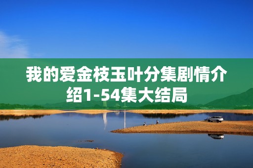 我的爱金枝玉叶分集剧情介绍1-54集大结局