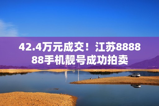 42.4万元成交！江苏888888手机靓号成功拍卖