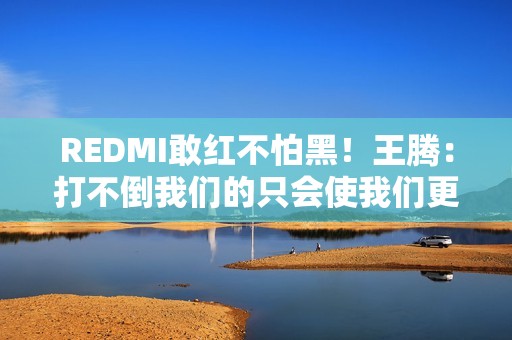 REDMI敢红不怕黑！王腾：打不倒我们的只会使我们更强大