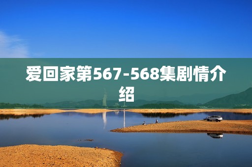 爱回家第567-568集剧情介绍