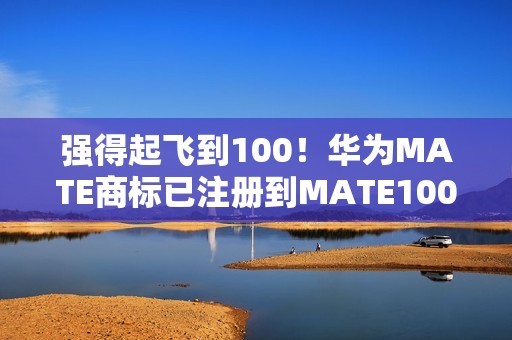 强得起飞到100！华为MATE商标已注册到MATE100
