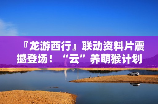 『龙游西行』联动资料片震撼登场！“云”养萌猴计划开启，即刻上线直面天命