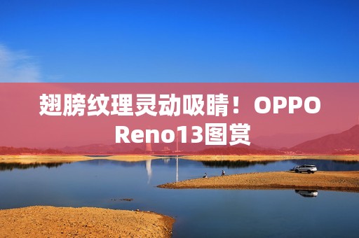 翅膀纹理灵动吸睛！OPPO Reno13图赏