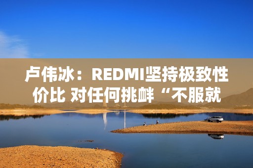 卢伟冰：REDMI坚持极致性价比 对任何挑衅“不服就干”