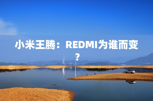 小米王腾：REDMI为谁而变？