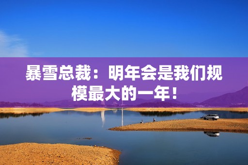 暴雪总裁：明年会是我们规模最大的一年！