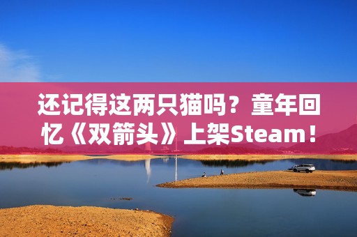 还记得这两只猫吗？童年回忆《双箭头》上架Steam！