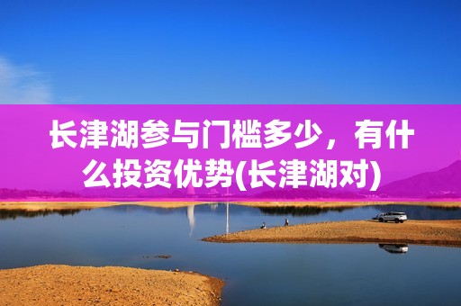 长津湖参与门槛多少，有什么投资优势(长津湖对)