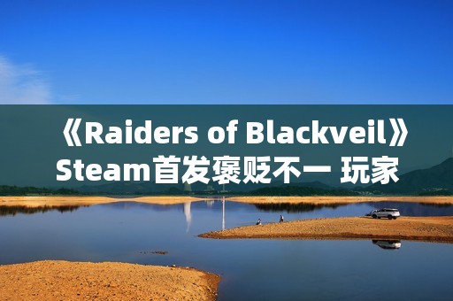 《Raiders of Blackveil》Steam首发褒贬不一 玩家：土豆服务器还敢强制联网？