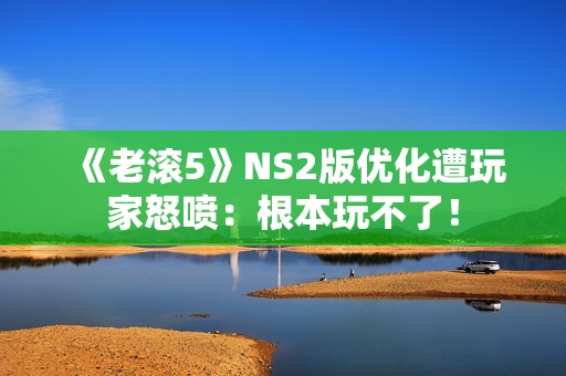 《老滚5》NS2版优化遭玩家怒喷：根本玩不了！