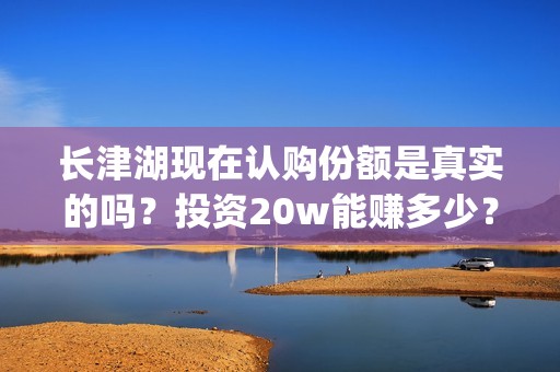 长津湖现在认购份额是真实的吗？投资20w能赚多少？(长津湖预售破亿)