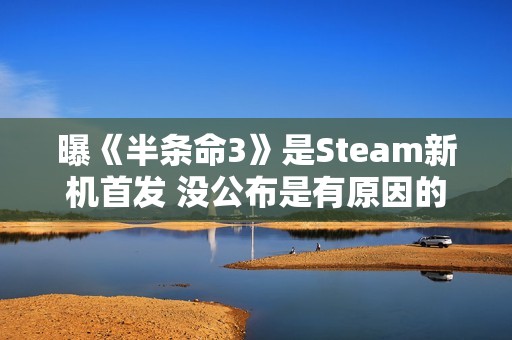 曝《半条命3》是Steam新机首发 没公布是有原因的