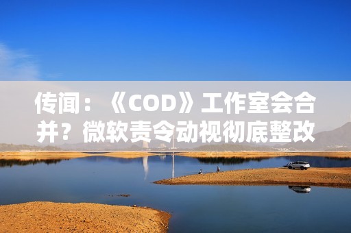 传闻：《COD》工作室会合并？微软责令动视彻底整改