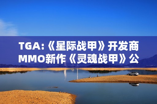 TGA:《星际战甲》开发商MMO新作《灵魂战甲》公布新宣传片！