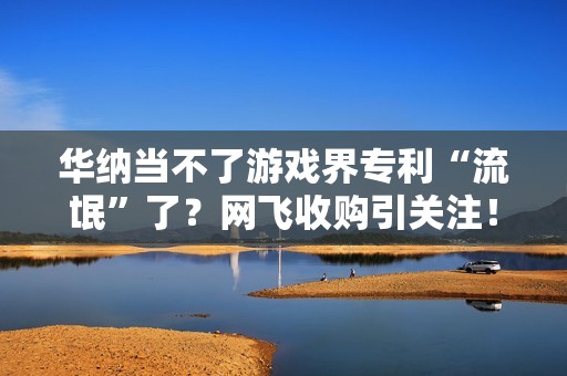 华纳当不了游戏界专利“流氓”了？网飞收购引关注！