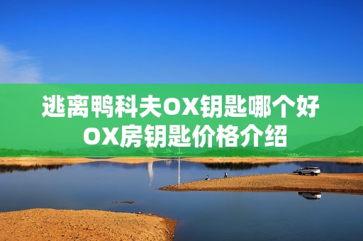 逃离鸭科夫OX钥匙哪个好 OX房钥匙价格介绍
