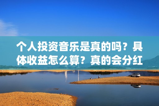 个人投资音乐是真的吗？具体收益怎么算？真的会分红吗？(个人投资音乐是做什么的)