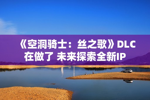《空洞骑士：丝之歌》DLC在做了 未来探索全新IP