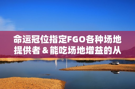 命运冠位指定FGO各种场地提供者＆能吃场地增益的从者总结