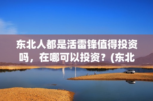 东北人都是活雷锋值得投资吗，在哪可以投资？(东北人都是活雷锋雪村mv)