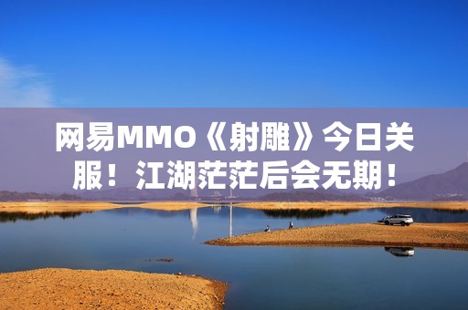 网易MMO《射雕》今日关服！江湖茫茫后会无期！