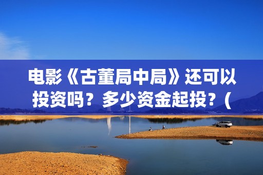 电影《古董局中局》还可以投资吗？多少资金起投？(古董局中局电影简介)