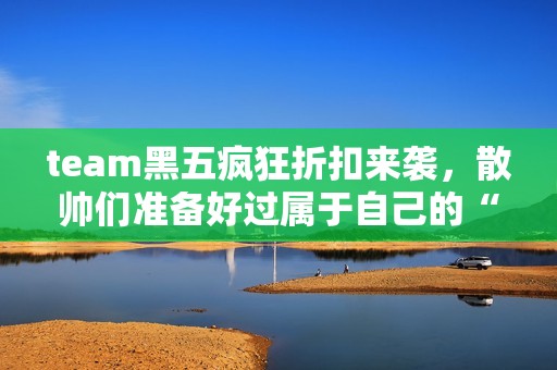 team黑五疯狂折扣来袭，散帅们准备好过属于自己的“双十一了吗”